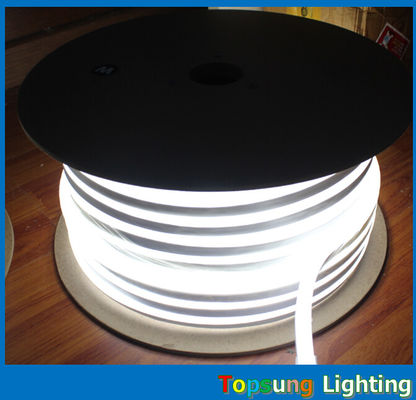 Verschiedene Farben 10*18mm LED-Neonlicht mit Spannung 110/220/24