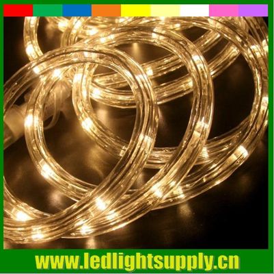 Warme weiße drahtlose Seillichter 2 Draht LED Weihnachtsseillichter