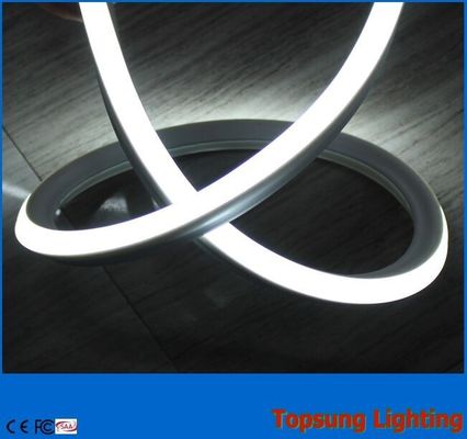 24V beste Preis quadratisch weiß IP67 wasserdicht für den Außenbereich LED Neon Flex Licht