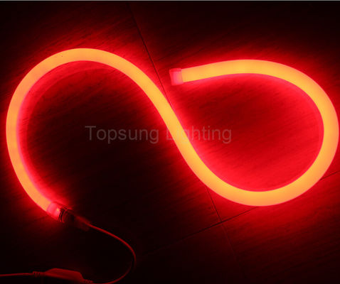 Erstaunliche rote LED Flex Neon 360 100 LED 12V