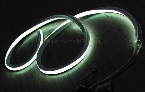 Heiß verkauftes RGB 16*16m 127V flaches Neon-LED-Licht in China