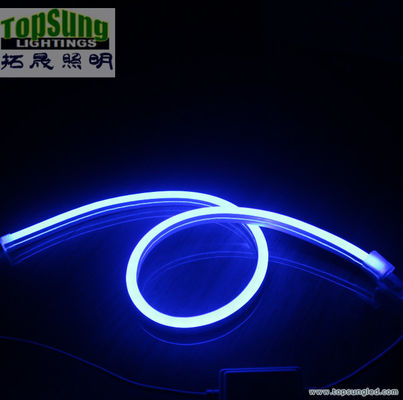 Mini-Größe RGB LED Neon Flex 10*18mm Vollfarbwechsel-Neonlicht 110V SMD5050