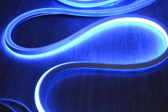 shenzhen DC 24V flache flexible blaue Neon LED16x16mm quadratische Form für Dekoration