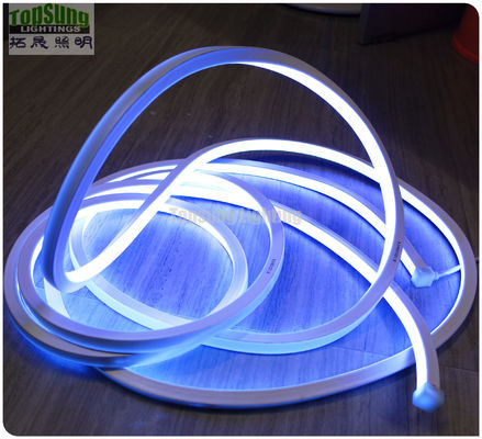 Superhell quadratisch 240v 16*16m Neon flexibler LED-Lichtfarbe RGB