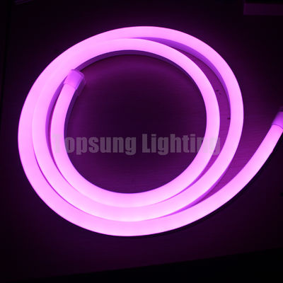 Schöne RGB Farbänderung 24V digitale biegbare LED-Neon-Flex-Lichter Streifen