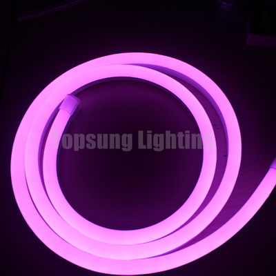 Farbwechselnde LED-Weihnachtslichter 14*26mm digitale Seillichter