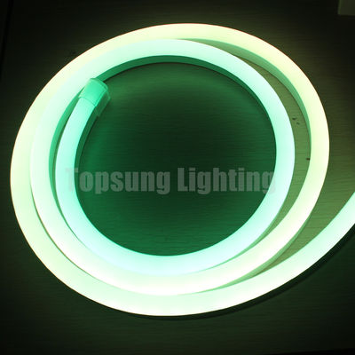 Weihnachtsdekoration digitale LED Neon-Flex-Leuchten Streifenwasserdicht Außendekoration