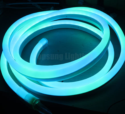 Wasserdichte IP65 Neonleuchte 14*26mm digitale LED-Neonleuchte
