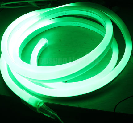 24V dynamische digitale flexible Neon-LED-Lichtstreifen farbenfrohe digitale Led-Neon-Licht zum Verkauf