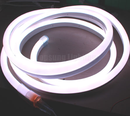 speziell geschnittene 240V LED Neonseillampe 14*26mm digitale Neonlampen
