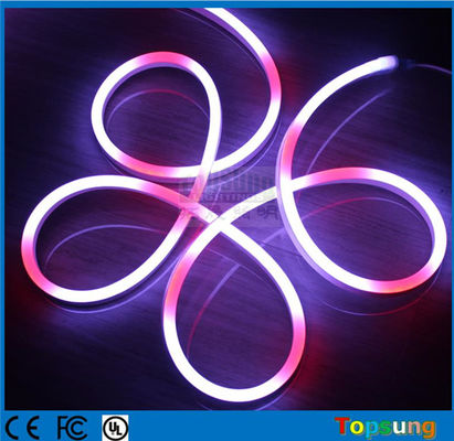24V/12V Vollfarbe Programmierbar Smart Digital Doppelseitig 5050 Pixel RGB Led Neon Flex