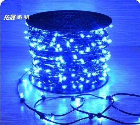 Weihnachtsbaumhersteller IP65 LED-Stringlampen 12V LED-Clip-Licht für Australien