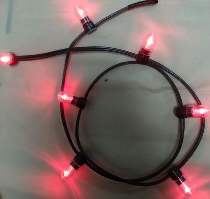 12V-Low-Power-LED-Clip-Licht 100m/Rolle Weihnachtslichter LED-Streifen Lichter rote Reisstreifen 666 Glühbirnen