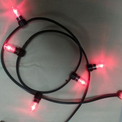 12V-Low-Power-LED-Clip-Licht 100m/Rolle Weihnachtslichter LED-Streifen Lichter rote Reisstreifen 666 Glühbirnen