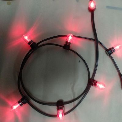 Wasserdicht 100m Anschlussseillicht für Weihnachtsdekorationen 12V Klemmen Seile 666 LED
