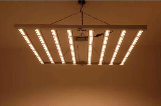 600W Indoor LED Wachstumsleuchten Led Pflanzenleuchten IP65 Sambead 6 Bar CUL Treiber